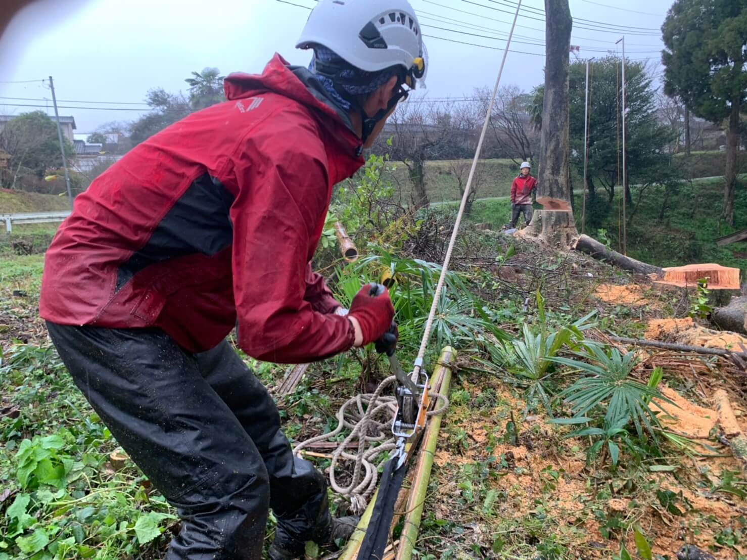 牽引作業を行う郡(手前)。ロープの張り具合を確認する代表山本。